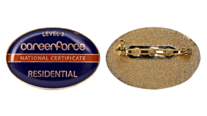 Careerforce pin in oval shape with dome