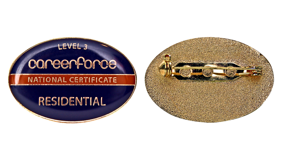 Careerforce pin in oval shape with dome